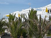 Jard&iacute;n de palmeras